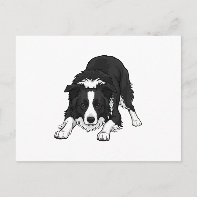 Cartes Pour Fêtes Annuelles Border Collie Dog (Devant)