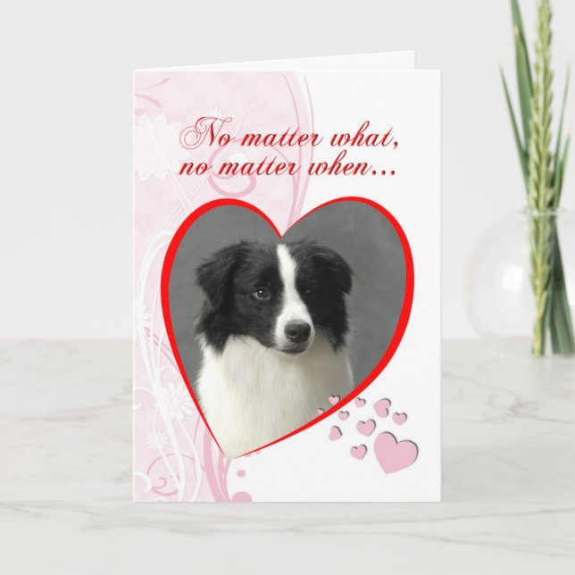 Cartes Pour Fêtes Annuelles Border collie Valentine (Devant)
