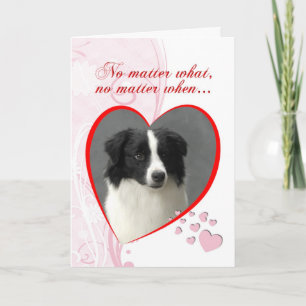 Cartes Pour Fêtes Annuelles Border collie Valentine
