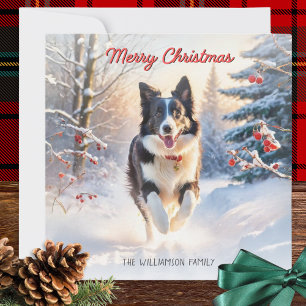 Cartes Pour Fêtes Annuelles Bordure Collie Chien En Neige Joyeux Noël
