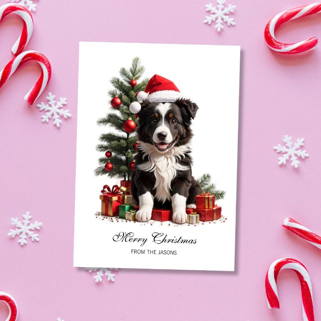 Cartes Pour Fêtes Annuelles Bordure souriante Collie Noël Chiot Personnalisé (Smiling Border Collie Christmas Puppy Holiday Card)