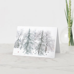 Cartes Pour Fêtes Annuelles Boston Public Garden : Plaisirs simples de la sais