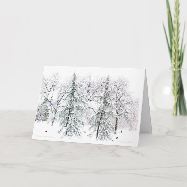 Cartes Pour Fêtes Annuelles Boston Public Garden : Plaisirs simples de la sais (Devant)