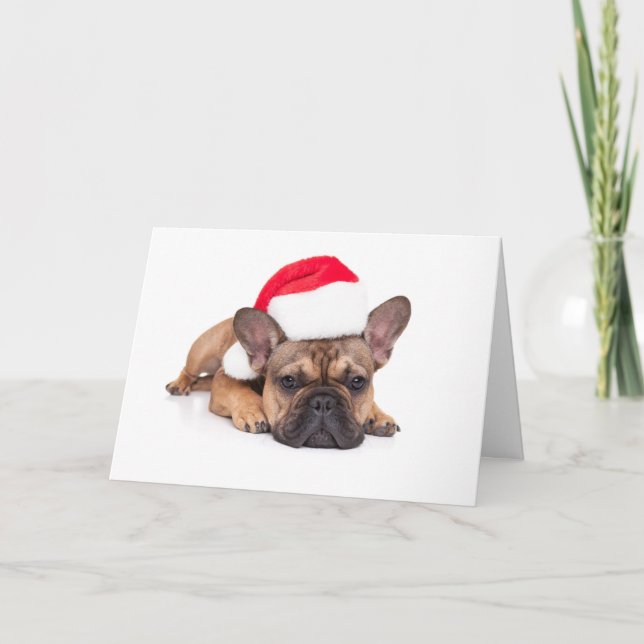 Cartes Pour Fêtes Annuelles Bouledogue français - Noël (Devant)