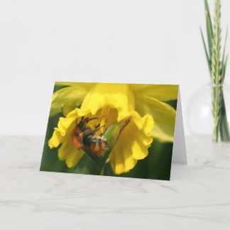 Cartes Pour Fêtes Annuelles Bourdon