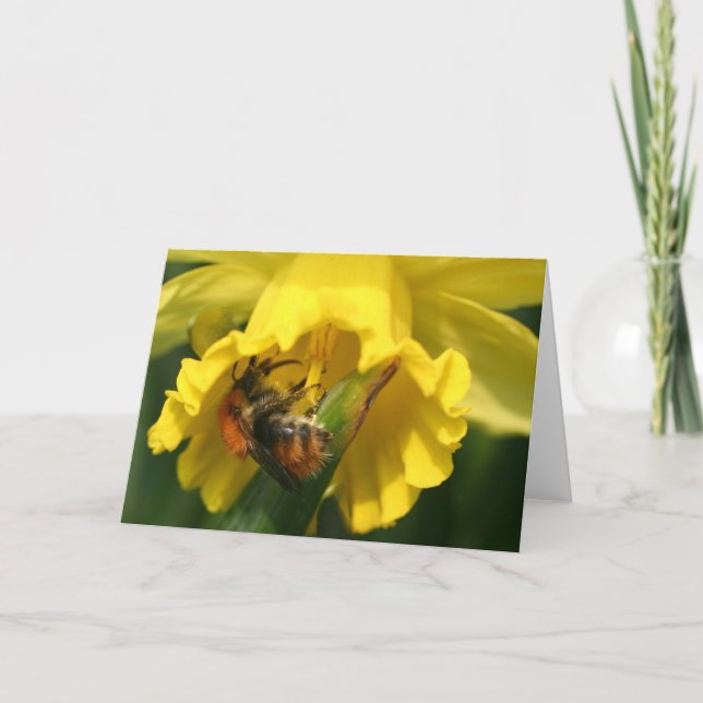Cartes Pour Fêtes Annuelles Bourdon (Devant)