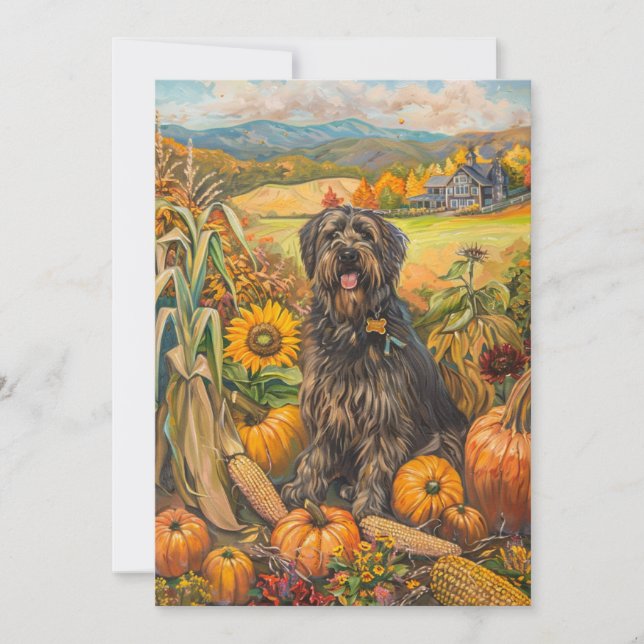 Cartes Pour Fêtes Annuelles Bouviers des Flandre Récolte d'automne Thankesgivi (Devant)