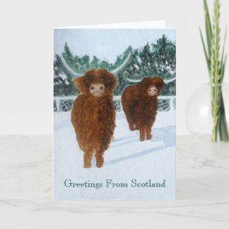 Cartes Pour Fêtes Annuelles Bovins des Highlands en hiver