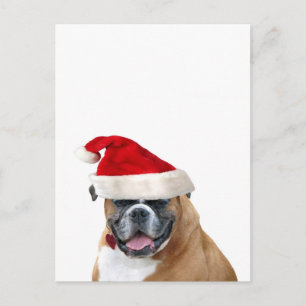 Cartes Pour Fêtes Annuelles Boxe avec chapeau de Père Noël