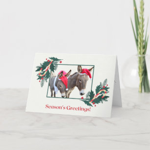 Cartes Pour Fêtes Annuelles Boxer & Benjamin Vous souhaite de bonnes vacances 