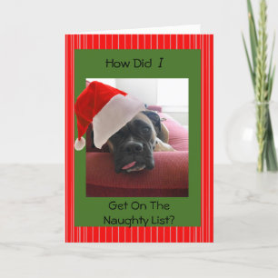 Cartes Pour Fêtes Annuelles Boxeur de Noël