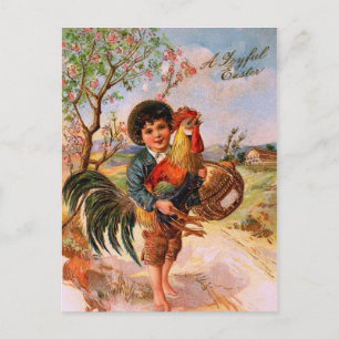 Cartes Pour Fêtes Annuelles Boys Rooster Gorgeous