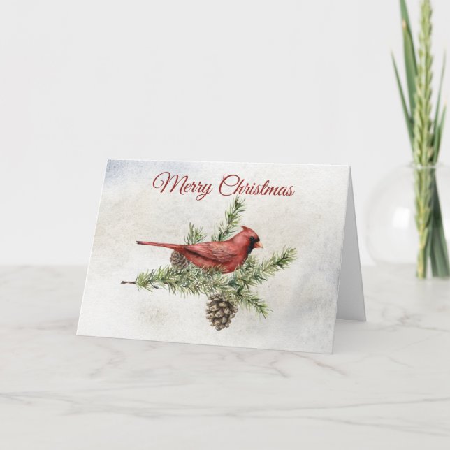 Cartes Pour Fêtes Annuelles Branches de pins et cardinal rouge (Devant)