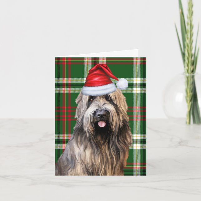 Cartes Pour Fêtes Annuelles Brie Noël Chien vert Plaid Noël (Devant)