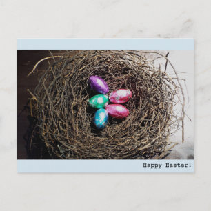 Cartes Pour Fêtes Annuelles Bright Easter eggs in real bird's nest photograph