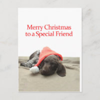 Brillant Grizzly spécial ami Joyeux Noël
