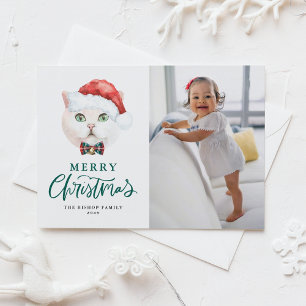 Cartes Pour Fêtes Annuelles British Shorthair Cat Green Joyeux Noël Photo