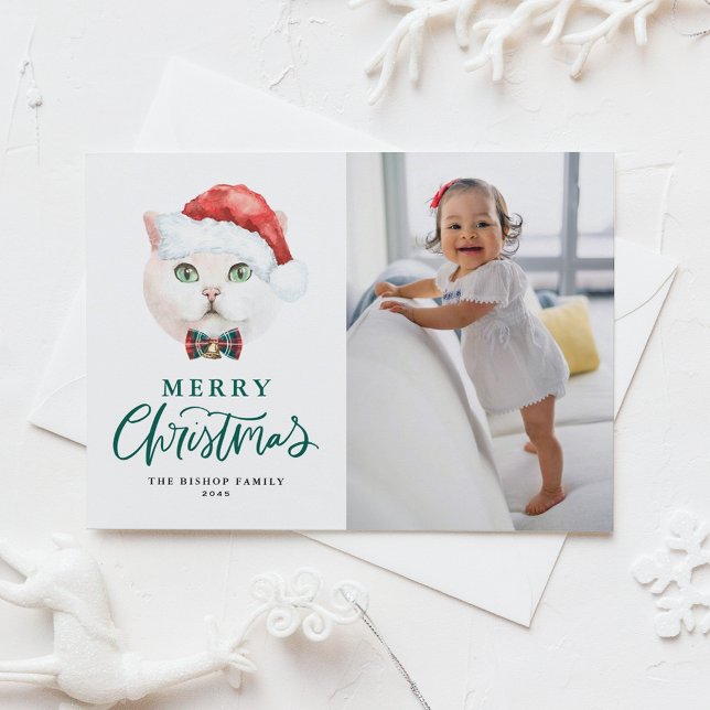 Cartes Pour Fêtes Annuelles British Shorthair Cat Green Joyeux Noël Photo (Créateur téléchargé)