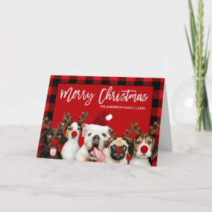 Cartes Pour Fêtes Annuelles Brosse Script Chiens de Noël Rouge Plié