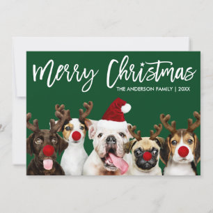 Cartes Pour Fêtes Annuelles Brosse Script Star Joyeux Chiens de Noël Vert