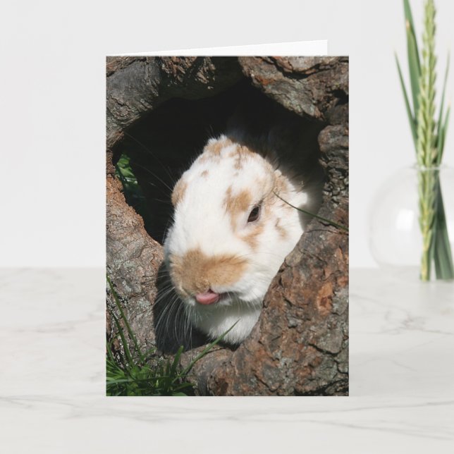 Cartes Pour Fêtes Annuelles Brouillard (Devant)