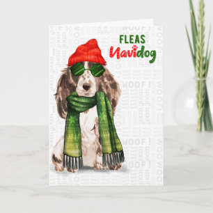 Cartes Pour Fêtes Annuelles Brown Cocker Spaniel Chien Funny Fleas Navidog