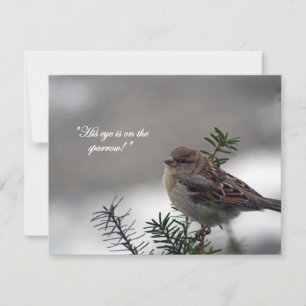 Cartes Pour Fêtes Annuelles Bruant, Son oeil est sur le Bruant !