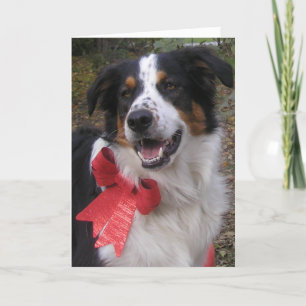 Cartes Pour Fêtes Annuelles "Bryn With a Bow"