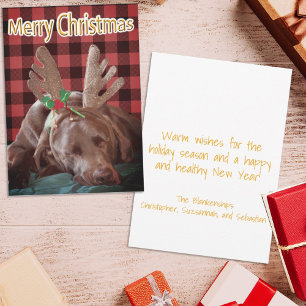 Cartes Pour Fêtes Annuelles Buffalo Plaid Labrador Portant des colliers Photog