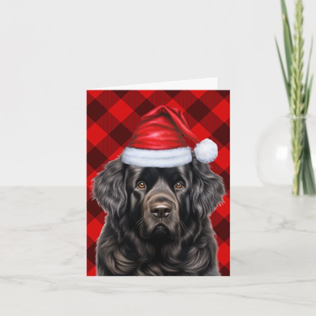 Cartes Pour Fêtes Annuelles Buffle de Noël de chien de Terre-Neuve (Devant)