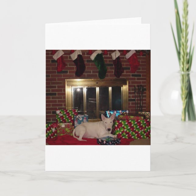 Cartes Pour Fêtes Annuelles bull anglais terrier noël foyer actuel (Devant)