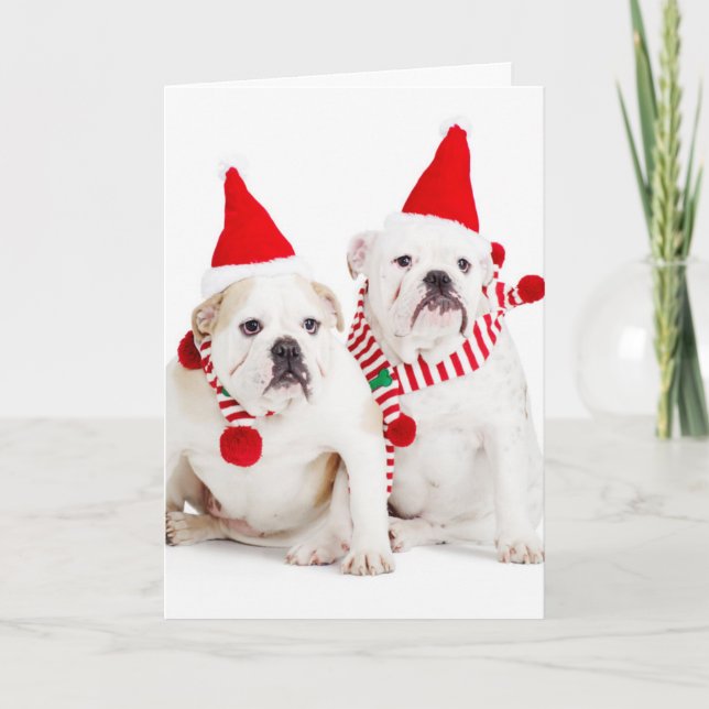 Cartes Pour Fêtes Annuelles Bulldog Elves (Devant)