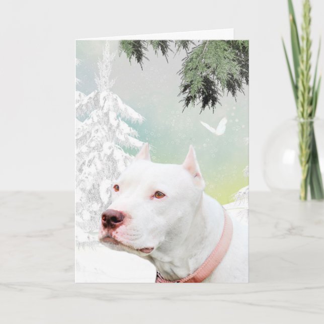 Cartes Pour Fêtes Annuelles Bulle blanche dans la neige (Devant)