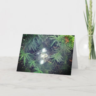 Cartes Pour Fêtes Annuelles Bulle de Fêtes