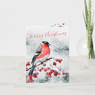 Cartes Pour Fêtes Annuelles Bullfiny Christmas Bird Snowy Red Berries
