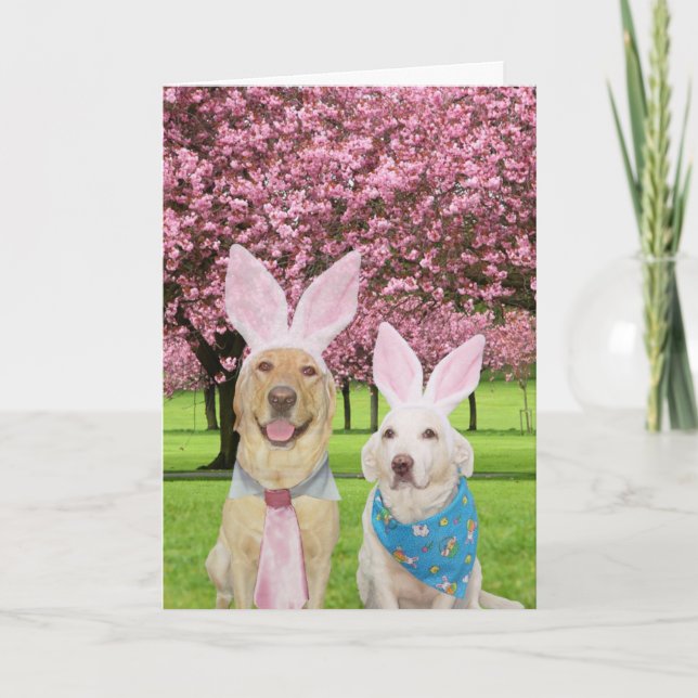 Cartes Pour Fêtes Annuelles Bunny Labs (Devant)