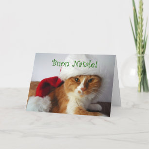 Cartes Pour Fêtes Annuelles Buon Natale - chat utilisant le casquette de Père