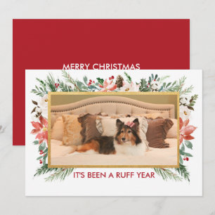 Cartes Pour Fêtes Annuelles Ça a été une année difficile Noël photo de chien