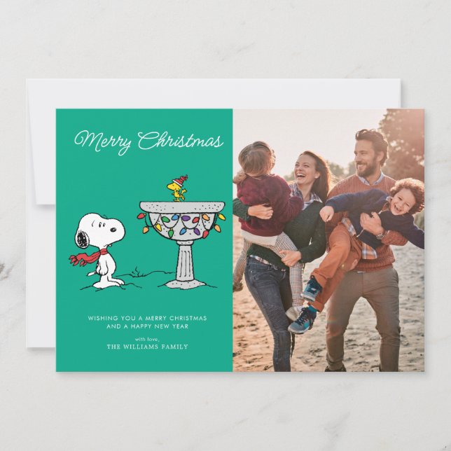 Cartes Pour Fêtes Annuelles Cacahuètes | Bain d'oiseaux gelé de Snoopy et Wood (Devant)