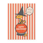 Cachou | Sorcière Woodstock vintage à rayures