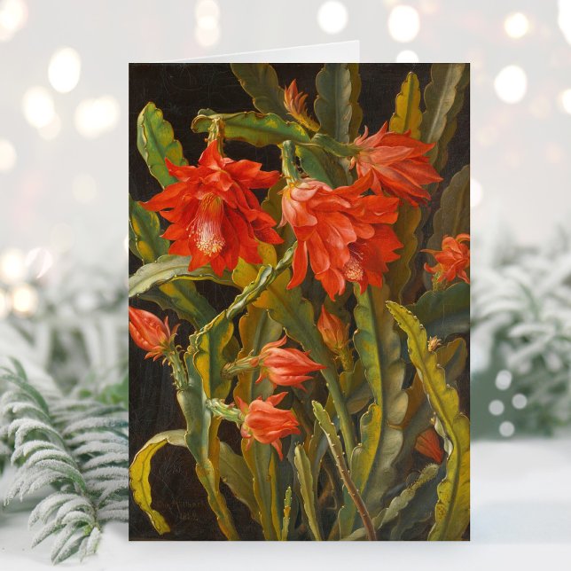 Cartes Pour Fêtes Annuelles Cactus de Noël | Christian Möllback (Créateur téléchargé)
