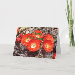 Cartes Pour Fêtes Annuelles Cactus Flower Christmas Card