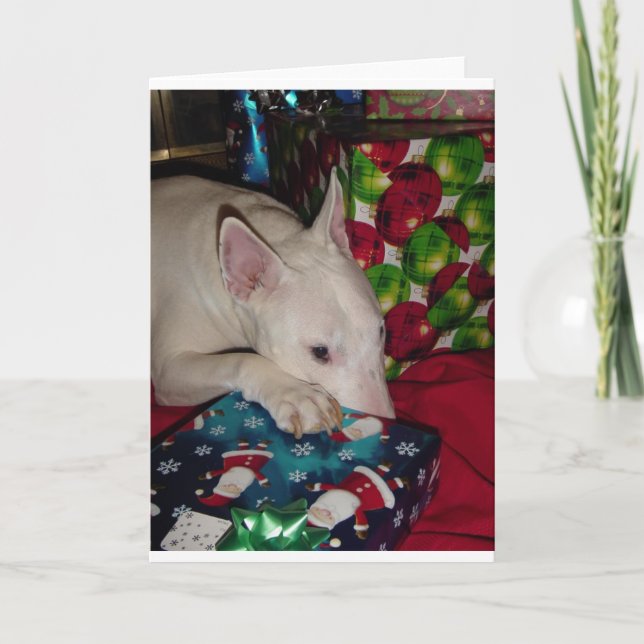 Cartes Pour Fêtes Annuelles cadeau de Noël anglais de bull-terrier (Devant)