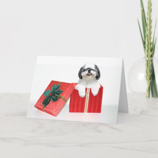 Cartes Pour Fêtes Annuelles Cadeau de Noël de Shih Tzu (Devant)