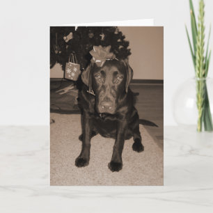 Cartes Pour Fêtes Annuelles Cadeau Enveloppé Labrador