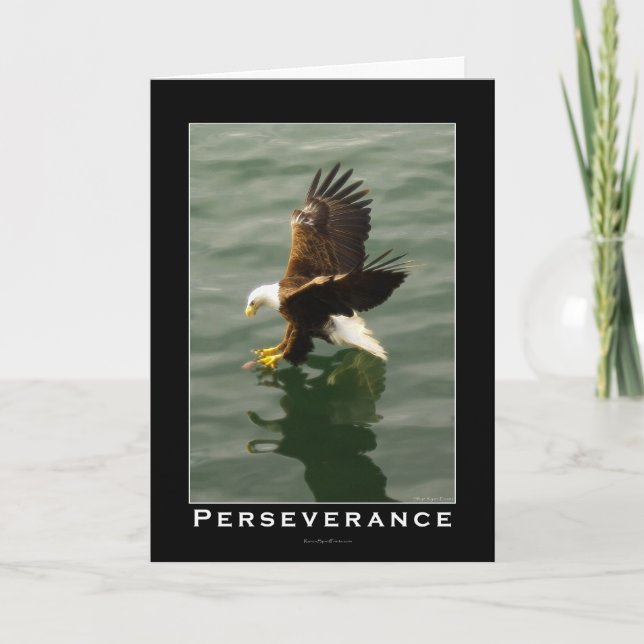 Cartes Pour Fêtes Annuelles Cadeau Motivationnel Aigle Bald (Devant)