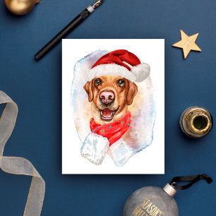 Cartes Pour Fêtes Annuelles Cadeaux de Noël Labrador pour les amateurs de chie