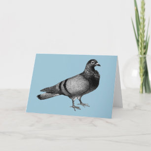Cartes Pour Fêtes Annuelles Cadeaux de pigeon vintage