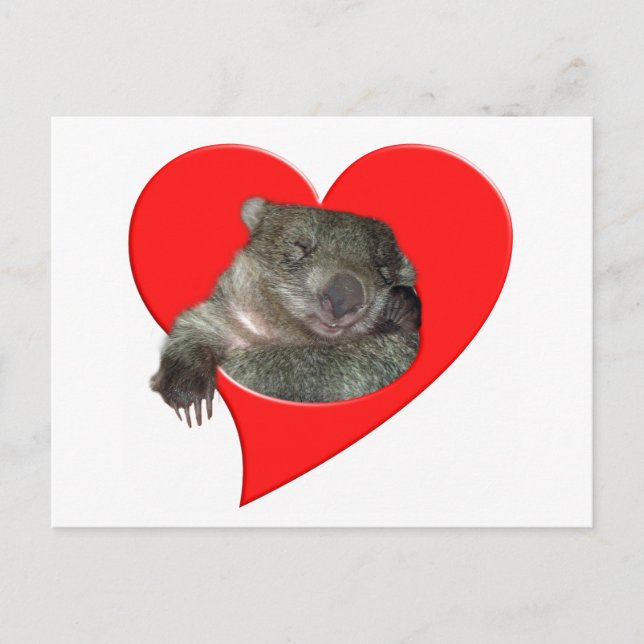 Cartes Pour Fêtes Annuelles Cadeaux de Saint-Valentin, amour de wombat ! (Devant)
