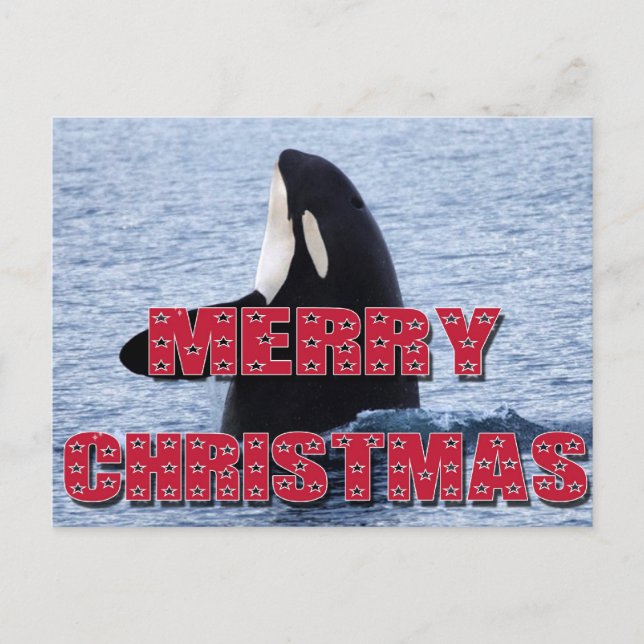 Cartes Pour Fêtes Annuelles Cadeaux d'houblon d'espion de baleine d'orque de (Devant)